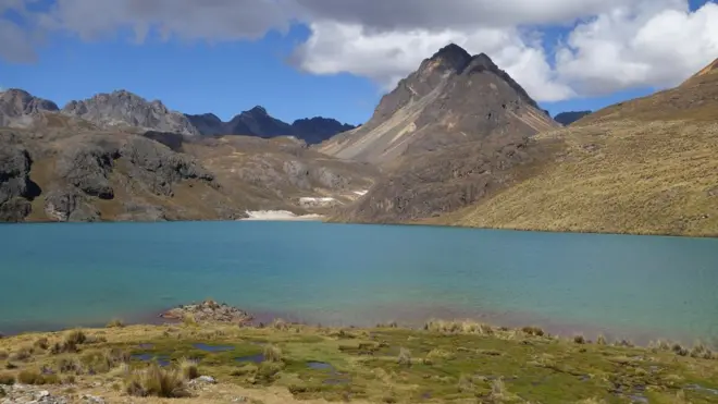 High in the Andes, a bofedale, or cushion bog, helps hold water year-round and help to supply downstream areas, including Lima, during the dry season