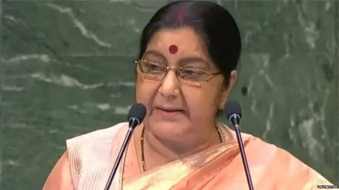 सुषमा स्वराज, भारत, पाकिस्तान