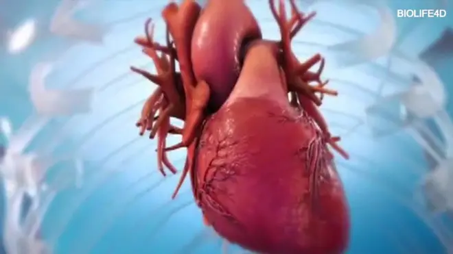 ما هي أعظم الأفكار العلمية لعام 2019؟