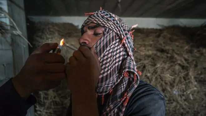 لبنان أول بلد عربي يقنن زراعة الحشيش