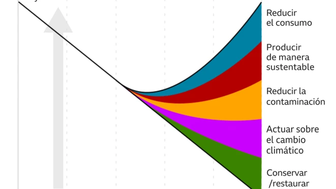 Cómo podemos ayudar a salvar la biodiversidad, gráfico.