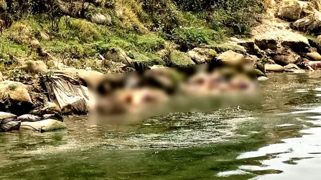 बलिया ज़िले के नरही थाने के सुहाव ब्लॉक के साठ के डेरे के गंगा घाट की तस्वीर. ये इलाका बिहार के बक्सर की सिमरी प्रखंड की केशोपुर पंचायत के पास है.