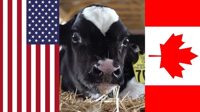 米商務省は25日、カナダの輸出木材が不当な補助金を受けているとして相殺関税を課すと発表し、酪農製品の輸出についても不公正だと批判を強めた。新たな「貿易戦争」の始まりなのか。.