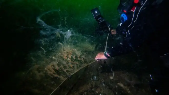 Meclis komisyonunda konuşan uzmanlar Marmara denizinde görünür hale gelen sorunun Karadeniz'i de tehdit ettiğini söyledi