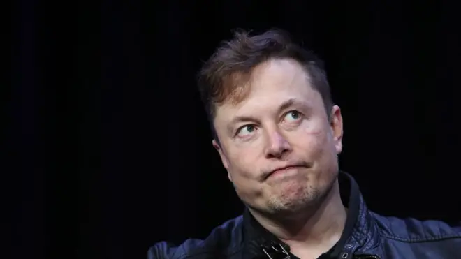 Зведення першої фабрики Tesla в Європі призупинили через змій і ящірок