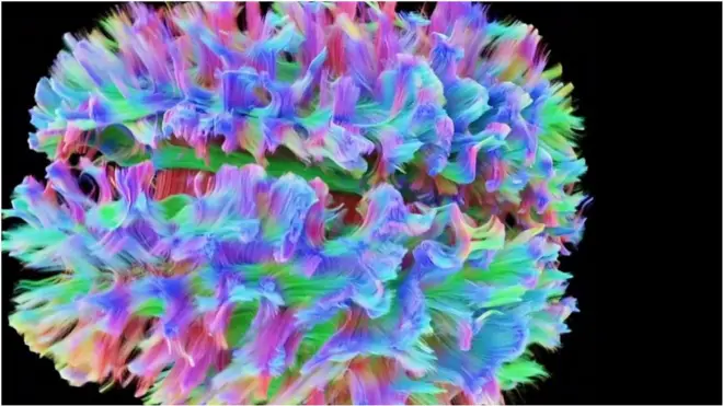 модель мозку