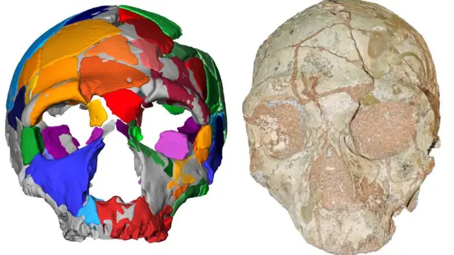Apidima 2 appears to be a Neanderthal and is later than the modern human skull
