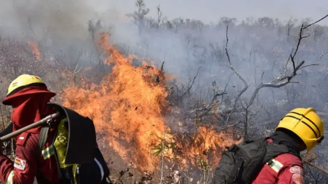 تزايد فقدان الأشجار في بوليفيا بشكل كبير عام 2019 بسبب النيران التي خرجت عن السيطرة