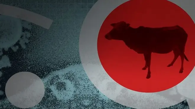 Мифы о лечении Covid-19