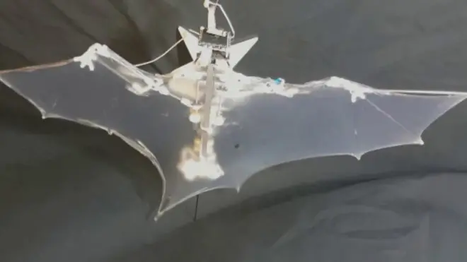 امریکہ میں سائنسدانوں نے چمگادڑ کی شکل کے روبوٹ تیار کیے ہیں جنھیں ’بیٹ بوٹ‘ کا نام دیا گیا ہے۔ یہ چھوٹے ڈرون روبوٹ آفت زدہ علاقوں کا جائزہ لینے میں مددگار ثابت ہو سکتے ہیں۔