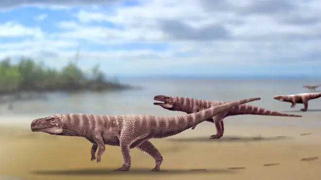 An artist's impression of what one of these creatures might have looked like