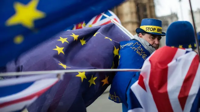 Сторонники ЕС на демонстрации у парламента Британии