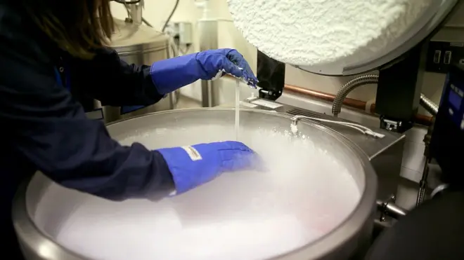 Прежде чем клетки успевают погибнуть, их замораживают при помощи витрификации - специальной процедуры, исключающей образование льда