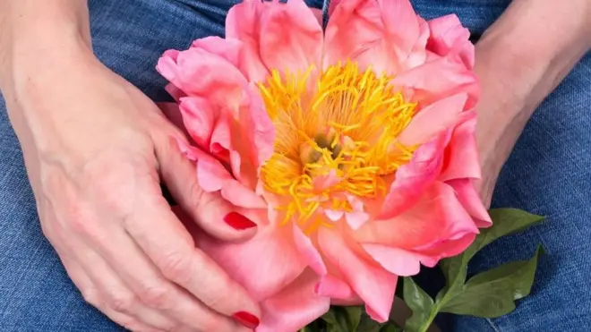 Manos de mujer sosteniendo una flor grande en el regazo