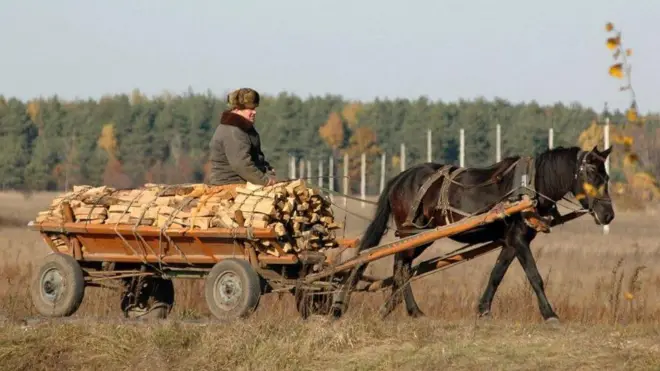 Деревина, дрова, село 