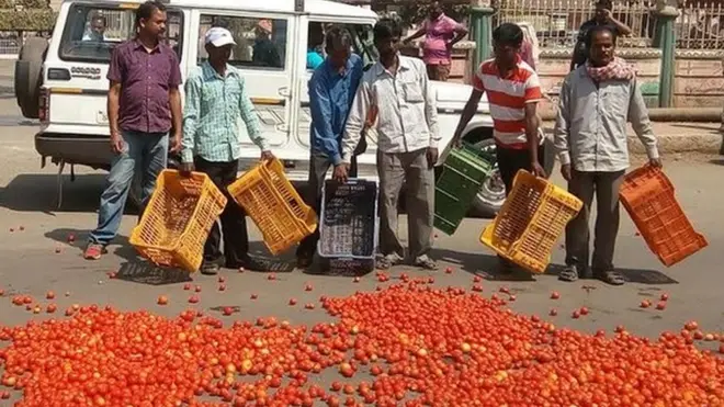 केउनझार में सोमवार को कई किसानों ने कलेक्टर कार्यालय के सामने सड़क पर टमाटर फेंक कर प्रदर्शन किया.