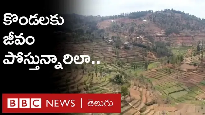 వరదలు, కరవును తట్టుకునే వ్యవసాయం ఇదీ