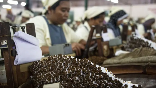 Pada 2015, rokok merupakan penyumbang terbesar pendapatan cukai dengan kontribusi sebesar Rp 139,5 triliun.