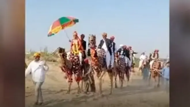 ऊंट पर बारात