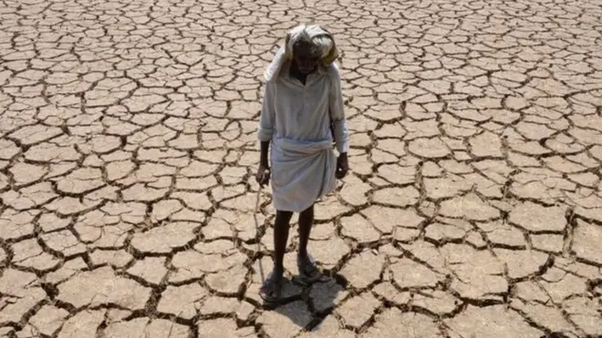 खेत में खड़ा किसान