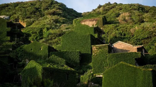 పచ్చని గ్రామం