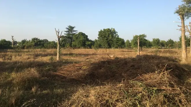 Tukuntawa Burial ground for Kano