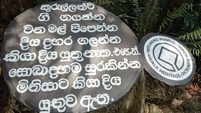 සිංහරාජයට අලුත් තර්ජනයක්. මේ ගැන ඔබ දන්නවාද?