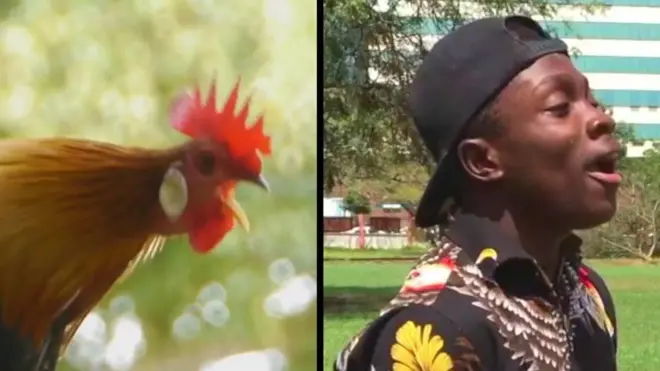 Юный имитатор