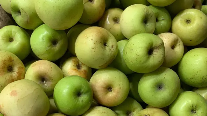 ঢাকার একটি বাজারে বিক্রি হচ্ছে বরই