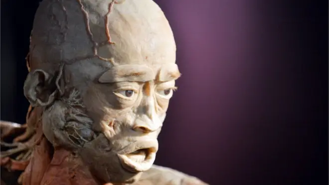 Los organizadores aseguran que la exposición tiene fines educativos.