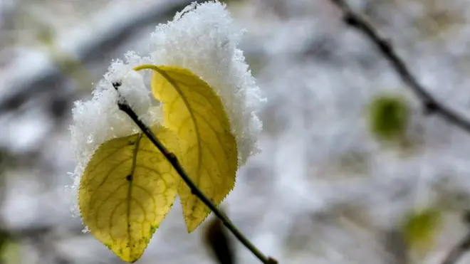 Цієї осені "золотим" може стати не лише лисття, але й тепло та гаряча вода