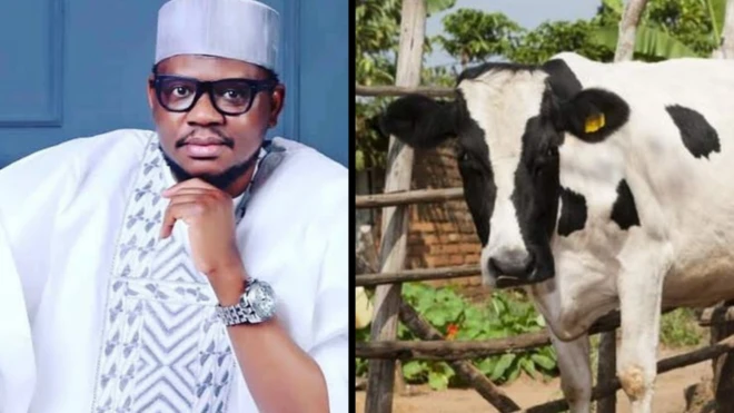 'Cow business no be just for Fulani'
