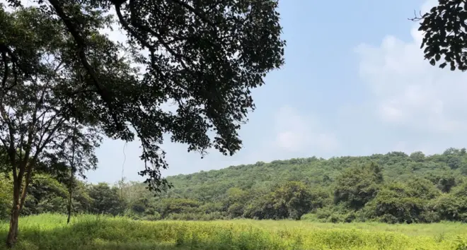 వికారాబాద్ పరిధిలోని దామగుండం అటవీప్రాంతం