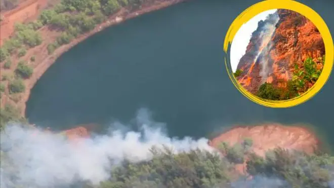 म्हादई जंगली