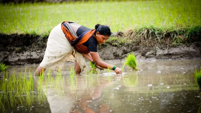 బ్యాక్టిరియా, సైన్స్