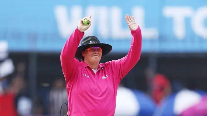 ક્રિકેટ અમ્પાયર, પ્રોફેશનમાં કેટલી કમાણી, વર્લ્ડકપ, ક્રિકેટ મૅચ, સ્પૉર્ટ્સ, બીબીસીઆઇ, ઘરેલુ ક્રિકેટ, બીબીસી ગુજરાતી