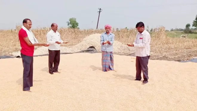 మొక్కజొన్నను కూడా తెలంగాణ ప్రభుత్వం కొనుగోలు చేయనుంది