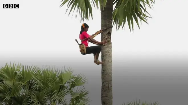 తాటి కల్లు తీస్తున్న బాలిక