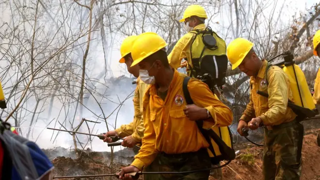 Un incendio ha afectado en Bolivia a cientos de miles de hectáreas de la Chiquitanía, una zona boscosa de transición entre la Amazonía y el Chaco.