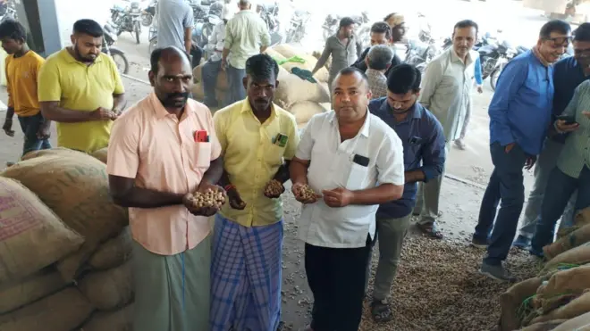 જામનગર એપીએમસીમાં મગફળીની હરાજીમાં હાજરી આપતા તામિલનાડુના વેપારીઓ નજરે પડે છે