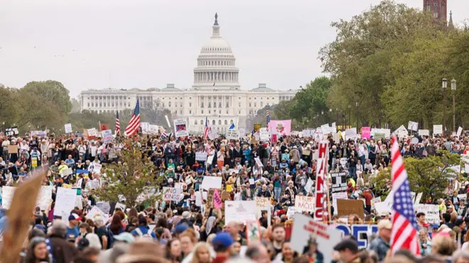 A crowd of people wave flags and carry signs with the US Capitol in the distance