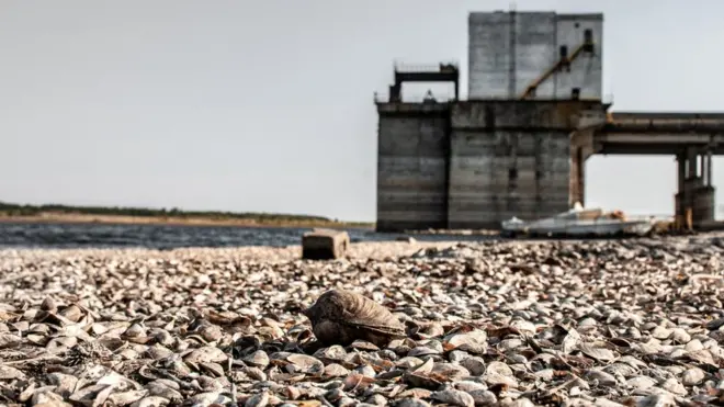 Спека в Україні найближчими днями лише посилюватиметься