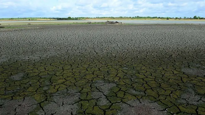 A general view of a partially dried up irrigation reservoir at Wirawila in the southern Sri Lankan district of Hambantota on August 25, 2014