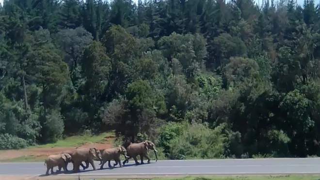 Arba Keeniyaa karaan jalaa bade burjaaja'aa jira jedhame