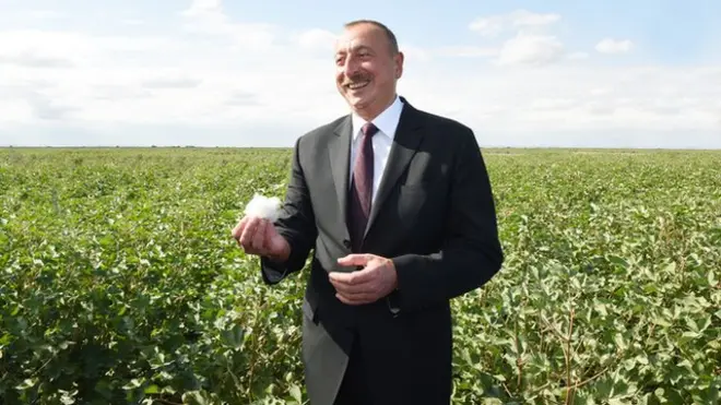 Saatlı rayonunda prezident Əliyevin iştirakı ilə pambıq əkininə start verilir