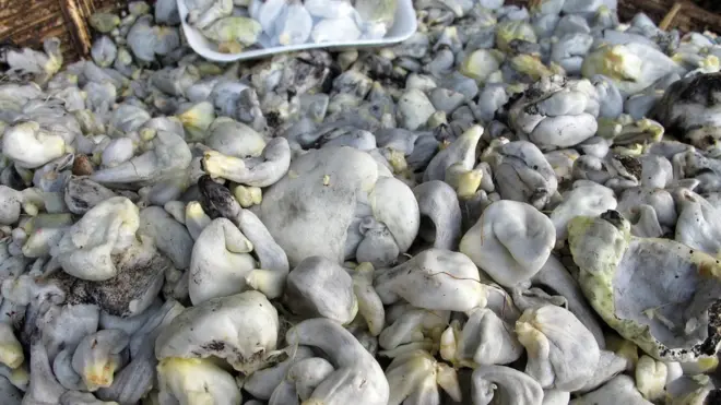 Huitlacoche a la venta en el mercado