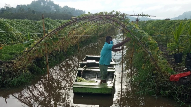 Agriculture Sri Lanka