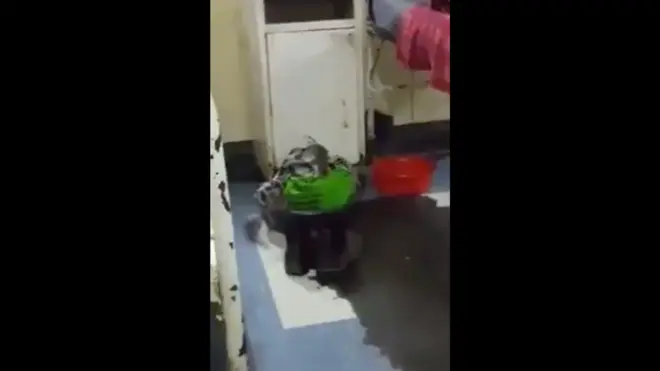 ኣናጹ ኣብ ሆስፒታል ዛምብያ