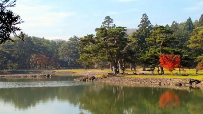 The Pure Land Garden is considered one of the finest garden examples from the 12th Century.