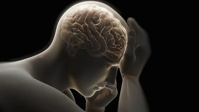 मानव मस्तिष्क का विकास